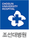 조선대병원